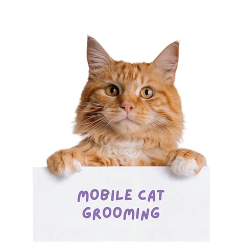 Aurora Illinois Mobile Pet Grooming – Chicago GROOMBAR