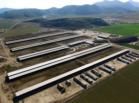 MUMA Logo 的图像结果