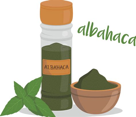 albahaca ilustración aislado en dibujos animados estilo. Español nombre ...