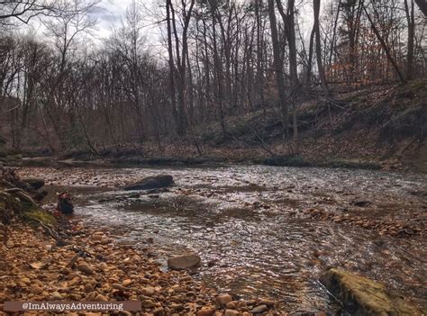 Alum Spring Park- From Dinosaurs to Duels