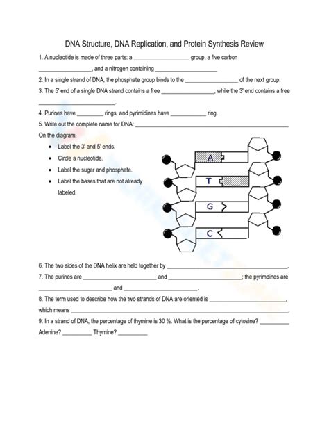 DNA Learning Worksheet 的图像结果