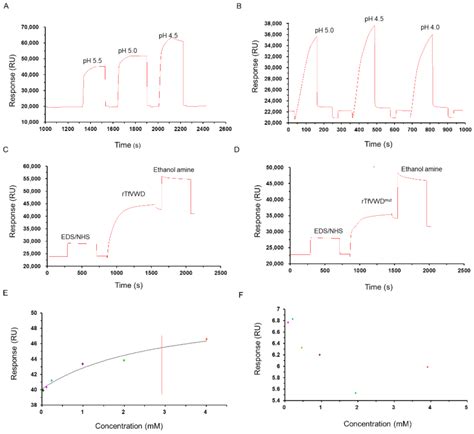 Molecular Characterization of the Von Willebrand Factor Type D Domain ...