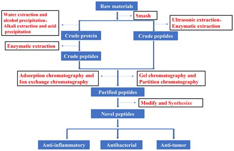 Review on Extraction, Modification, and Synthesis of Natural Peptides ...