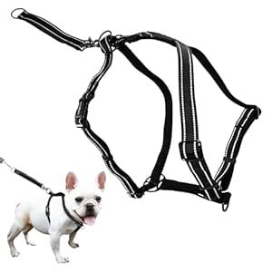 SPORN Ultimate Control Dog Harness, Black, Small : Amazon.in: Pet Supplies