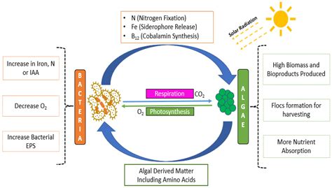 Phycoremediation of Synthetic Dyes Laden Textile Wastewater and ...