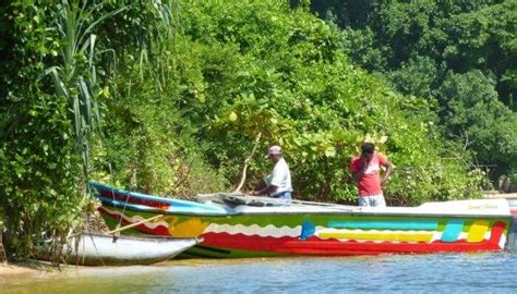 8 Fun Things To Do In Surat Thani On Your Thailand Trip