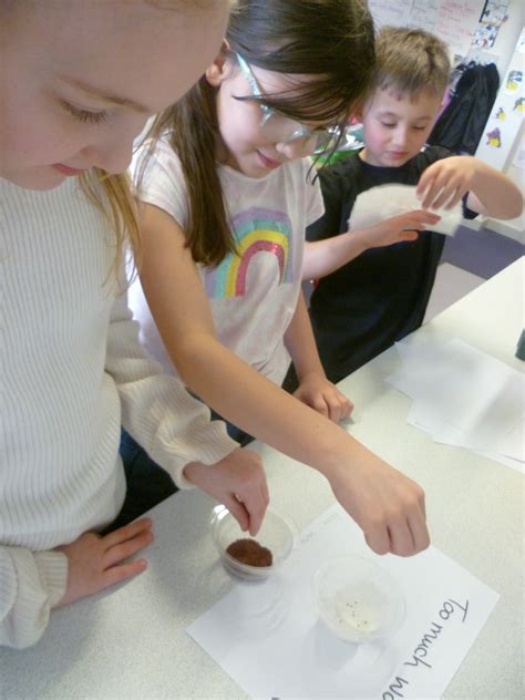 Primary Science 的图像结果