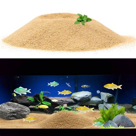 Petzlifeworld 2.5 Kg Natural Nile River Sand for Aquarium Fish Tank ...