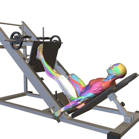 Sled Single Leg Press - Habibi Fit