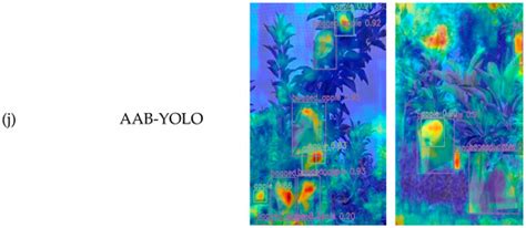 AAB-YOLO: An Improved YOLOv11 Network for Apple Detection in Natural ...