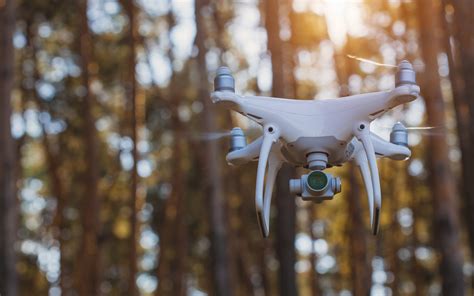 Forestry Model 4 的图像结果