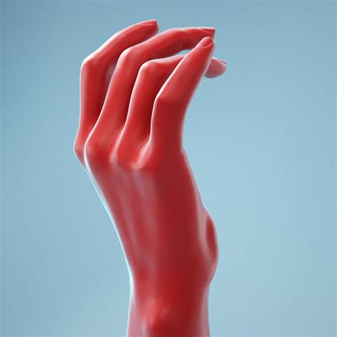 Image result for Female Hand 3D Modeling