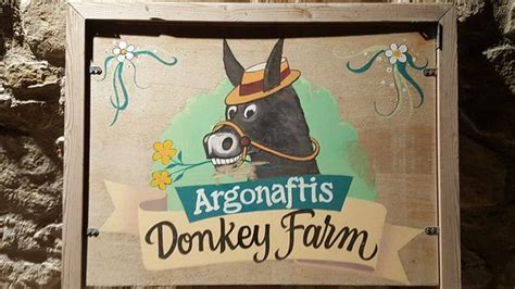 Argonaftis Tours - Kelokedara Donkey Farm (Paphos) - 2022 What to Know ...