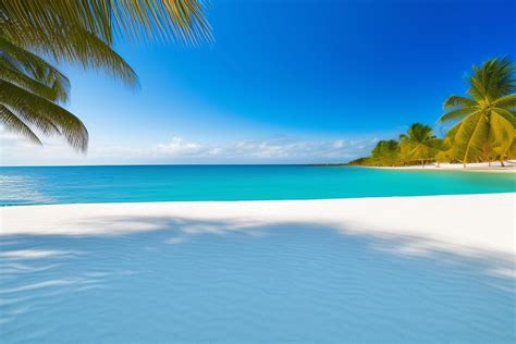 Tropical Beach Images