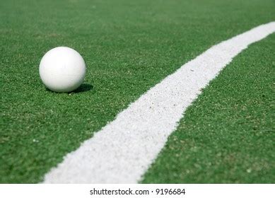 Hockey Grass 的图像结果