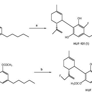 Reagents and conditions: (a) SeO2, t-BuOOH, CH2Cl2, r.t; (b) DAST ...