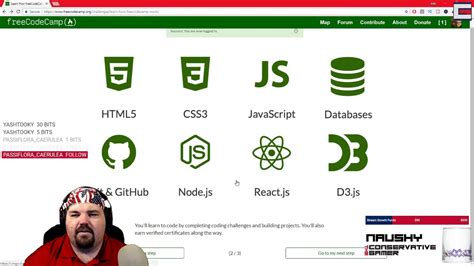 freeCodeCamp Tutorial 的图像结果