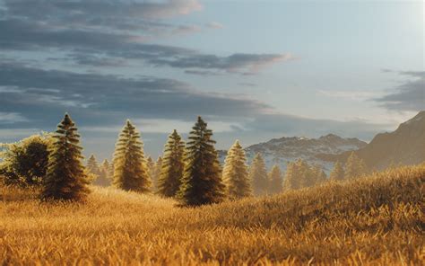 Environment Photography 的图像结果