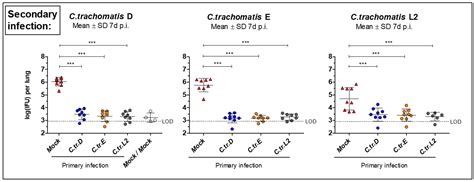 Chlamydia trachomatis Cross-Serovar Protection during Experimental Lung ...