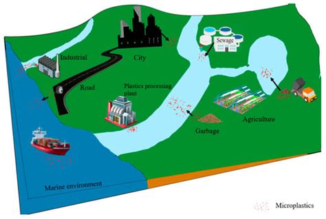 A Review of Sources, Hazards, and Removal Methods of Microplastics in ...