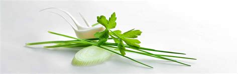 Herbes Wiberg lyophilisees | GOURMET VERSAND GOURMET SHIPPING