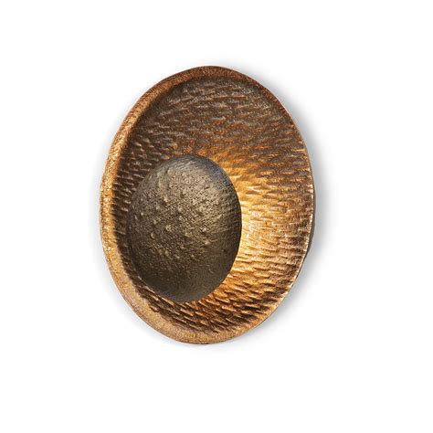 Sufi Light Finish Wall Lamp – Home Blitz