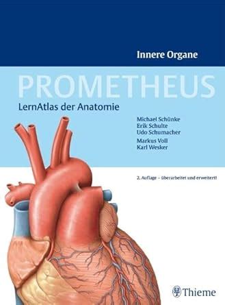 Amazon.in: Buy Prometheus Innere Organe: LernAtlas der Anatomie Book ...