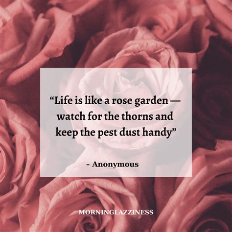 60 Best Rose Quotes To Appreciate the Beauty Of Life and Thorns ...
