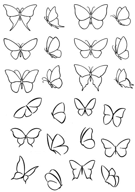 Pin by mia teel on Unique butterfly in 2025 | Butterfly drawing, Easy ...