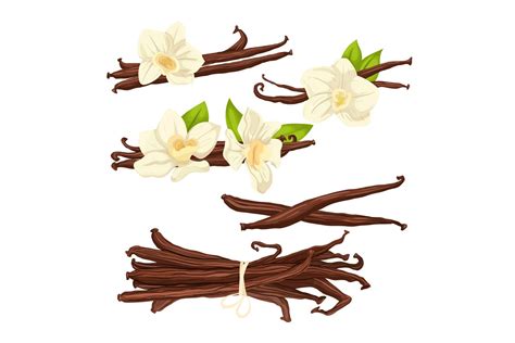 Vanilla Flower
