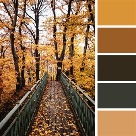 30 Autumn Color Palettes for Coloring Pages: Embrace the Season's ...