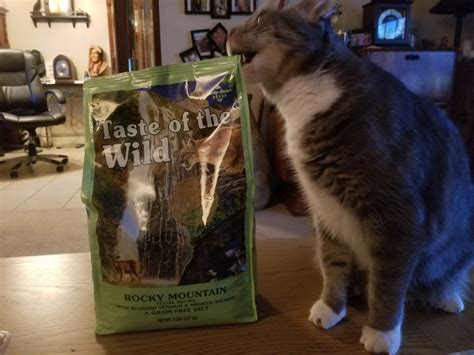 Rocky Mountain Feline