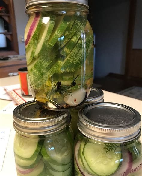 Vlasic Dill Pickle Copycat Recipe - Banana-breads.com