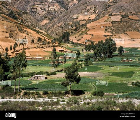 Bolivian Andean highlands,crops in the valley of the Pilcomayo river ...