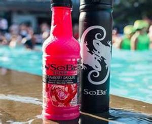 List of All Brands Owned by PepsiCo: Pepsico Subsidiaries