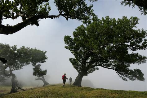 Hiking Madeira — endemicXperiences