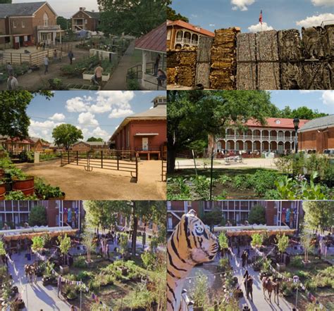 The Kingdom TWD en 2025 | Foto, Visualizar