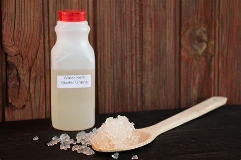 Water Kefir Starter Instructions - The Family Cow