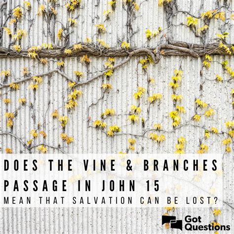 Does the vine and branches passage in John 15 mean that salvation can ...