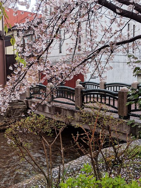 日本 的图像结果