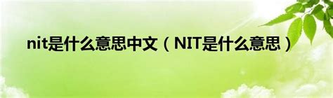 nit是什么意思中文（NIT是什么意思）_车百科