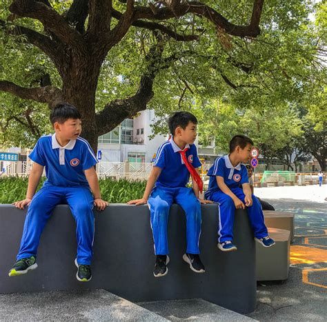 十岁成长礼：蛇口学校丰富“五育并举”培养体系 - 中国新闻周刊网