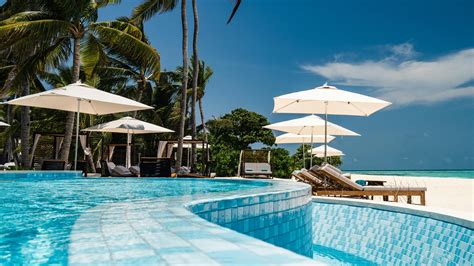 Go Swimming 的图像结果