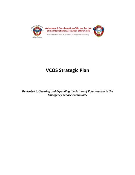 Image result for Strategic Plan Example PDF