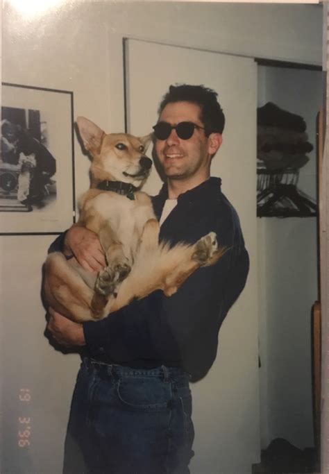 Politics Diagram 的图像结果