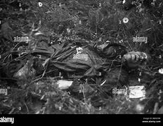 Image result for Second World War Dead Bodies