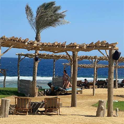 STEINBERGER RESORT ALAYA MARSA ALAM : tarifs 2026 et avis