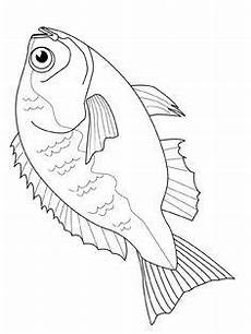 malvorlagen fische jung fisch malvorlagen malvorlagen tiere malvorlagen fisch malvorlagen fische jung fisch malvorlagen malvorlagen tiere malvorlagen fisch