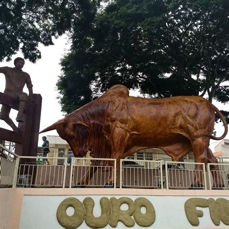 MONUMENTO BOI SEM CORAÇÃO (2025) All You Need to Know BEFORE You Go ...