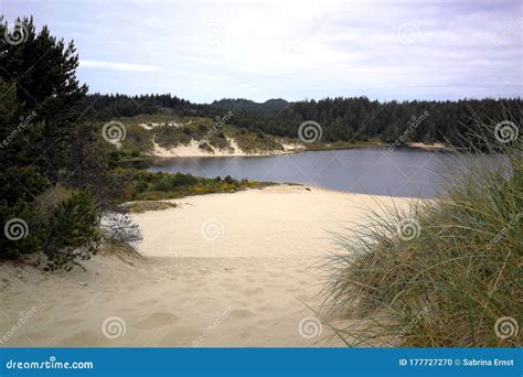 Dunes in Oregon stock photo. Image of holiday, cloudy - 177727270